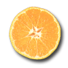 Mandarine Clausellina