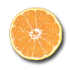 Mandarine okitsu