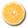 Mandarina oronules